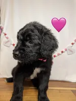 processed/f1f7de9c-8072-4849-b2f1-6707cc290372/listing/96286a5d-d9cd-4eb2-99af-14757ea7d8b6/1094e7fd-6b51-4c5e-b3a6-c73a557e84bc