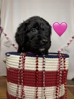 processed/f1f7de9c-8072-4849-b2f1-6707cc290372/listing/96286a5d-d9cd-4eb2-99af-14757ea7d8b6/194facd5-02a7-4bec-955d-ec406820151b