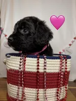 processed/f1f7de9c-8072-4849-b2f1-6707cc290372/listing/96286a5d-d9cd-4eb2-99af-14757ea7d8b6/7526b68b-4fb1-4eba-b633-c8ef332b95f3