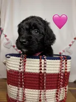 processed/f1f7de9c-8072-4849-b2f1-6707cc290372/listing/96286a5d-d9cd-4eb2-99af-14757ea7d8b6/7aadd317-042e-456e-83ec-75fafcdde491