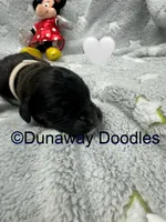 processed/f1f7de9c-8072-4849-b2f1-6707cc290372/listing/b409fa32-6a98-41aa-ad3b-4bff390fb5ae/4b90b38d-c285-45cd-85f6-be61ac435c36