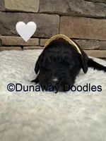 processed/f1f7de9c-8072-4849-b2f1-6707cc290372/listing/b409fa32-6a98-41aa-ad3b-4bff390fb5ae/7fcf61bc-057b-4440-97c6-ad46fbb163a1