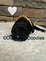 processed/f1f7de9c-8072-4849-b2f1-6707cc290372/listing/b409fa32-6a98-41aa-ad3b-4bff390fb5ae/e1d6c97b-3cd1-4b47-89a1-74f58b27d20f