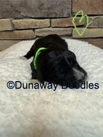 processed/f1f7de9c-8072-4849-b2f1-6707cc290372/listing/b4d853cb-22df-4814-b0fa-525ec738bc38/1d910dd5-9f29-4f52-8668-c3a5ad967189