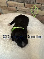 processed/f1f7de9c-8072-4849-b2f1-6707cc290372/listing/b4d853cb-22df-4814-b0fa-525ec738bc38/72247c9e-cbd8-4e1f-b70c-84898b726340