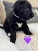 processed/f1f7de9c-8072-4849-b2f1-6707cc290372/listing/b978a3c1-8497-49a0-b7eb-e197b29ddfd0/544e2a1c-607f-4f26-b313-12c6365b726e