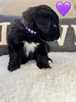 processed/f1f7de9c-8072-4849-b2f1-6707cc290372/listing/b978a3c1-8497-49a0-b7eb-e197b29ddfd0/766300c7-d98a-4216-9051-b469099e2fca