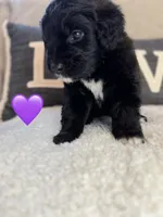 processed/f1f7de9c-8072-4849-b2f1-6707cc290372/listing/b978a3c1-8497-49a0-b7eb-e197b29ddfd0/cef8637d-1a45-4143-9f38-4f59d24846a6