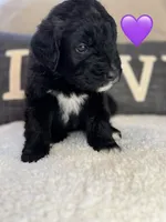 processed/f1f7de9c-8072-4849-b2f1-6707cc290372/listing/b978a3c1-8497-49a0-b7eb-e197b29ddfd0/e1e8bcf7-504a-45c5-9952-5b2b02e975bd