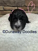 processed/f1f7de9c-8072-4849-b2f1-6707cc290372/listing/c168dca7-733e-403d-90cf-66ad752cd54f/900c7f1f-3db4-437f-a611-4a52477f8ee1