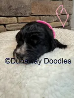 processed/f1f7de9c-8072-4849-b2f1-6707cc290372/listing/c168dca7-733e-403d-90cf-66ad752cd54f/9aa0c9b9-fc49-4650-86b5-7f4b8d201320