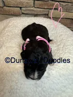 processed/f1f7de9c-8072-4849-b2f1-6707cc290372/listing/c168dca7-733e-403d-90cf-66ad752cd54f/9f5b334e-5273-46bb-a619-16da350bf7f4