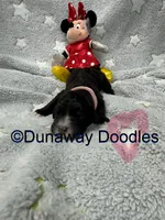 processed/f1f7de9c-8072-4849-b2f1-6707cc290372/listing/c168dca7-733e-403d-90cf-66ad752cd54f/beaf587e-8efb-4eed-89a7-96360b2437e4