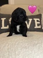 processed/f1f7de9c-8072-4849-b2f1-6707cc290372/listing/d1e4e41f-7748-4a7c-bed4-0f81b2314972/07bfdac0-49c3-4214-a9af-e7f165bd18c9