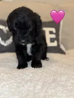 processed/f1f7de9c-8072-4849-b2f1-6707cc290372/listing/d1e4e41f-7748-4a7c-bed4-0f81b2314972/086e0143-b3e1-4ca4-862e-c5bd31586736