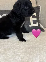 processed/f1f7de9c-8072-4849-b2f1-6707cc290372/listing/d1e4e41f-7748-4a7c-bed4-0f81b2314972/14a41ef0-82a6-4b1c-a214-60f99bdd5b03