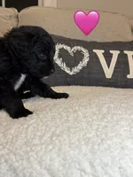 processed/f1f7de9c-8072-4849-b2f1-6707cc290372/listing/d1e4e41f-7748-4a7c-bed4-0f81b2314972/650bbecc-e4a5-4c9e-9088-e536238532a4