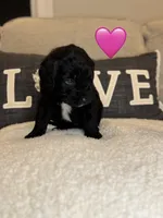 processed/f1f7de9c-8072-4849-b2f1-6707cc290372/listing/d1e4e41f-7748-4a7c-bed4-0f81b2314972/cd04c662-8b1d-40f3-83da-337faab0ce65