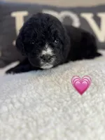 processed/f1f7de9c-8072-4849-b2f1-6707cc290372/listing/d7862012-0042-4725-b0e5-ef95fb7152ef/7efe4d6c-066a-4c9c-ad53-fb74c23ad6d1