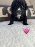 processed/f1f7de9c-8072-4849-b2f1-6707cc290372/listing/d7862012-0042-4725-b0e5-ef95fb7152ef/b72f6e35-36f3-4c12-90a3-57d051d91bbc