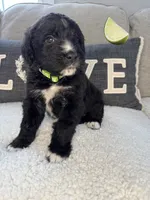 processed/f1f7de9c-8072-4849-b2f1-6707cc290372/listing/eeea2dd6-1413-4331-ad11-4952e38e988b/0c2ae788-6d87-46d7-82f2-d0616095612b