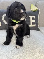 processed/f1f7de9c-8072-4849-b2f1-6707cc290372/listing/eeea2dd6-1413-4331-ad11-4952e38e988b/10eb6148-4812-4ceb-a428-fc0bf0b4c8da