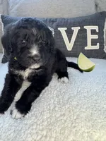 processed/f1f7de9c-8072-4849-b2f1-6707cc290372/listing/eeea2dd6-1413-4331-ad11-4952e38e988b/2c544c7a-a883-43b2-b727-1fcbbb398c86