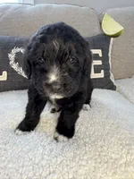 processed/f1f7de9c-8072-4849-b2f1-6707cc290372/listing/eeea2dd6-1413-4331-ad11-4952e38e988b/4f84264f-d5d6-4a9e-8d7c-9c858b566e6e