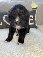 processed/f1f7de9c-8072-4849-b2f1-6707cc290372/listing/eeea2dd6-1413-4331-ad11-4952e38e988b/a1117047-21d6-4358-af31-a52dc2b7c0fd