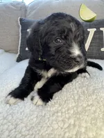 processed/f1f7de9c-8072-4849-b2f1-6707cc290372/listing/eeea2dd6-1413-4331-ad11-4952e38e988b/df26e41b-9ef0-466e-969d-f81c1bf777c8