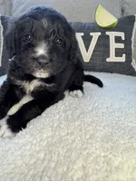 processed/f1f7de9c-8072-4849-b2f1-6707cc290372/listing/eeea2dd6-1413-4331-ad11-4952e38e988b/e0e2b909-c9c2-4836-b11c-67fe2a036503