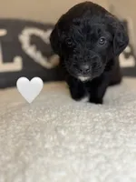 processed/f1f7de9c-8072-4849-b2f1-6707cc290372/listing/f859af9b-cfb8-425f-a94e-90f1827d79d5/3f4844cd-fb5e-495c-9625-a788b93d12ce