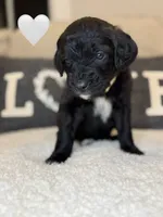 processed/f1f7de9c-8072-4849-b2f1-6707cc290372/listing/f859af9b-cfb8-425f-a94e-90f1827d79d5/68f43abb-0589-42a1-8675-5e512bbbb799