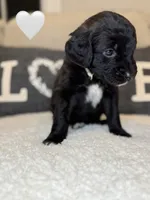 processed/f1f7de9c-8072-4849-b2f1-6707cc290372/listing/f859af9b-cfb8-425f-a94e-90f1827d79d5/be4526aa-8523-4b37-9eb6-e3666d37c865