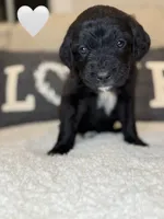 processed/f1f7de9c-8072-4849-b2f1-6707cc290372/listing/f859af9b-cfb8-425f-a94e-90f1827d79d5/e548b804-ee70-4290-9779-0f9950ce754d