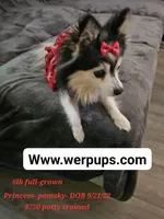 processed/f204b027-43ef-4380-af83-2fdfc61bbdb6/facility/1509766e-4f34-402d-9a16-667c4368769c