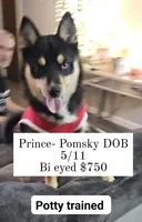 processed/f204b027-43ef-4380-af83-2fdfc61bbdb6/facility/1b62b64a-8a71-436e-898b-3c42fc68e05e