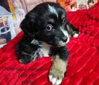 processed/f204b027-43ef-4380-af83-2fdfc61bbdb6/facility/2ab58d5e-fe12-4ab3-8fd9-ea2a576542ff