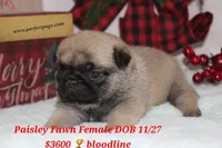 processed/f204b027-43ef-4380-af83-2fdfc61bbdb6/facility/4859a888-2325-4bcd-86db-ed0a88136aef