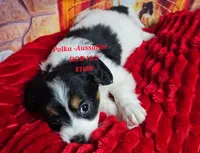 processed/f204b027-43ef-4380-af83-2fdfc61bbdb6/facility/b219feae-e3b6-4d37-9170-948e90ba63fc