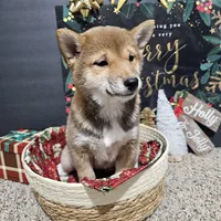 processed/f204b027-43ef-4380-af83-2fdfc61bbdb6/listing/42f56a57-b345-4e9b-a5f9-ccce501c69ea/6570eeb2-b834-4c99-81d4-22f64d844e96