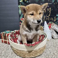 processed/f204b027-43ef-4380-af83-2fdfc61bbdb6/listing/42f56a57-b345-4e9b-a5f9-ccce501c69ea/ca32da41-4cb8-4617-9836-ff9dab23515c