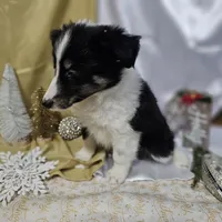 processed/f204b027-43ef-4380-af83-2fdfc61bbdb6/listing/b3befe90-a52e-4e23-aade-8649a3627a18/49dc9ac6-eae2-4511-a4cf-3c05ea53931d