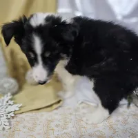 processed/f204b027-43ef-4380-af83-2fdfc61bbdb6/listing/b3befe90-a52e-4e23-aade-8649a3627a18/74250e66-2bf9-4f7e-99c6-e4297ad561c2