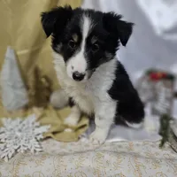 processed/f204b027-43ef-4380-af83-2fdfc61bbdb6/listing/b3befe90-a52e-4e23-aade-8649a3627a18/768571b0-4c25-4dda-85b7-7af95a8e0c14