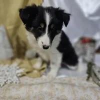 processed/f204b027-43ef-4380-af83-2fdfc61bbdb6/listing/b3befe90-a52e-4e23-aade-8649a3627a18/971de1bb-a4b7-4d36-9a9d-155a247d63fe