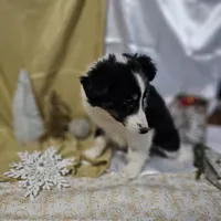 processed/f204b027-43ef-4380-af83-2fdfc61bbdb6/listing/b3befe90-a52e-4e23-aade-8649a3627a18/bbcd2157-f6fd-4e4e-83f3-dbd3c08850f6