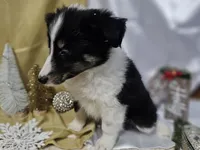 processed/f204b027-43ef-4380-af83-2fdfc61bbdb6/listing/b3befe90-a52e-4e23-aade-8649a3627a18/da49be1e-05a3-4ad7-8418-286ef8d2106d