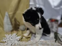 processed/f204b027-43ef-4380-af83-2fdfc61bbdb6/listing/b3befe90-a52e-4e23-aade-8649a3627a18/f8b59ef3-7c46-4f1b-8f33-81ea3e915db4