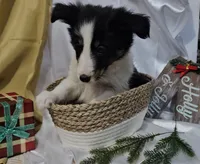 processed/f204b027-43ef-4380-af83-2fdfc61bbdb6/listing/bf5311bc-02ea-440d-a068-ef00ec9c971c/232ae329-1ac6-42af-8548-17d06b666891